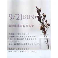 画像355