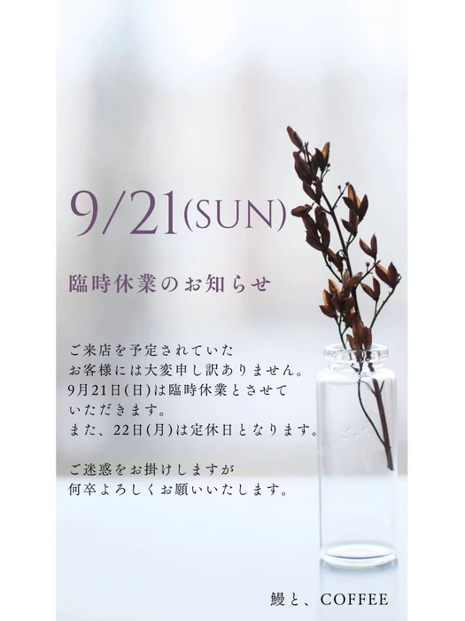 画像355