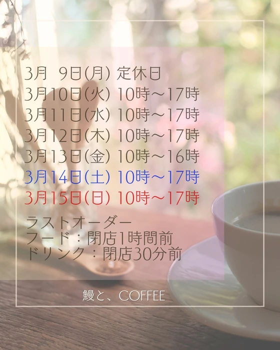 画像438