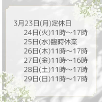 画像447