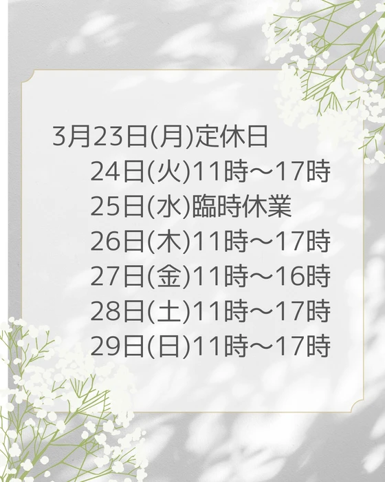 画像447