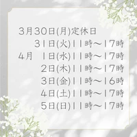 画像453